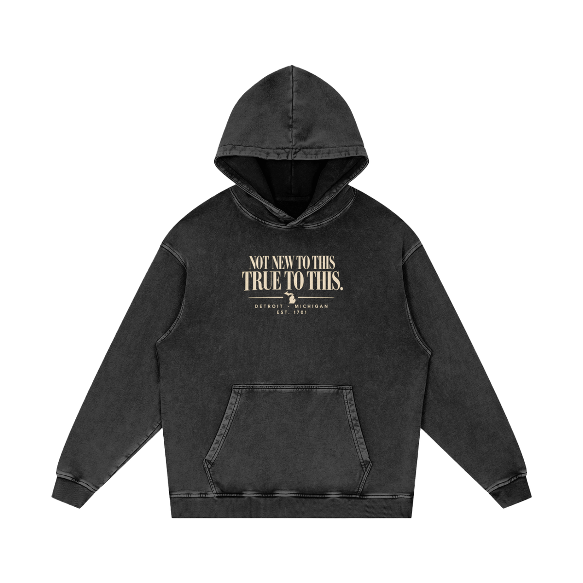 Detroit Michigan heavyweight hoodie with Not New to This True to This front graphic